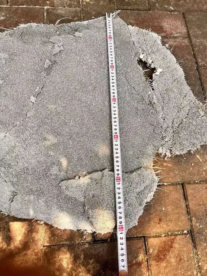 DƬ